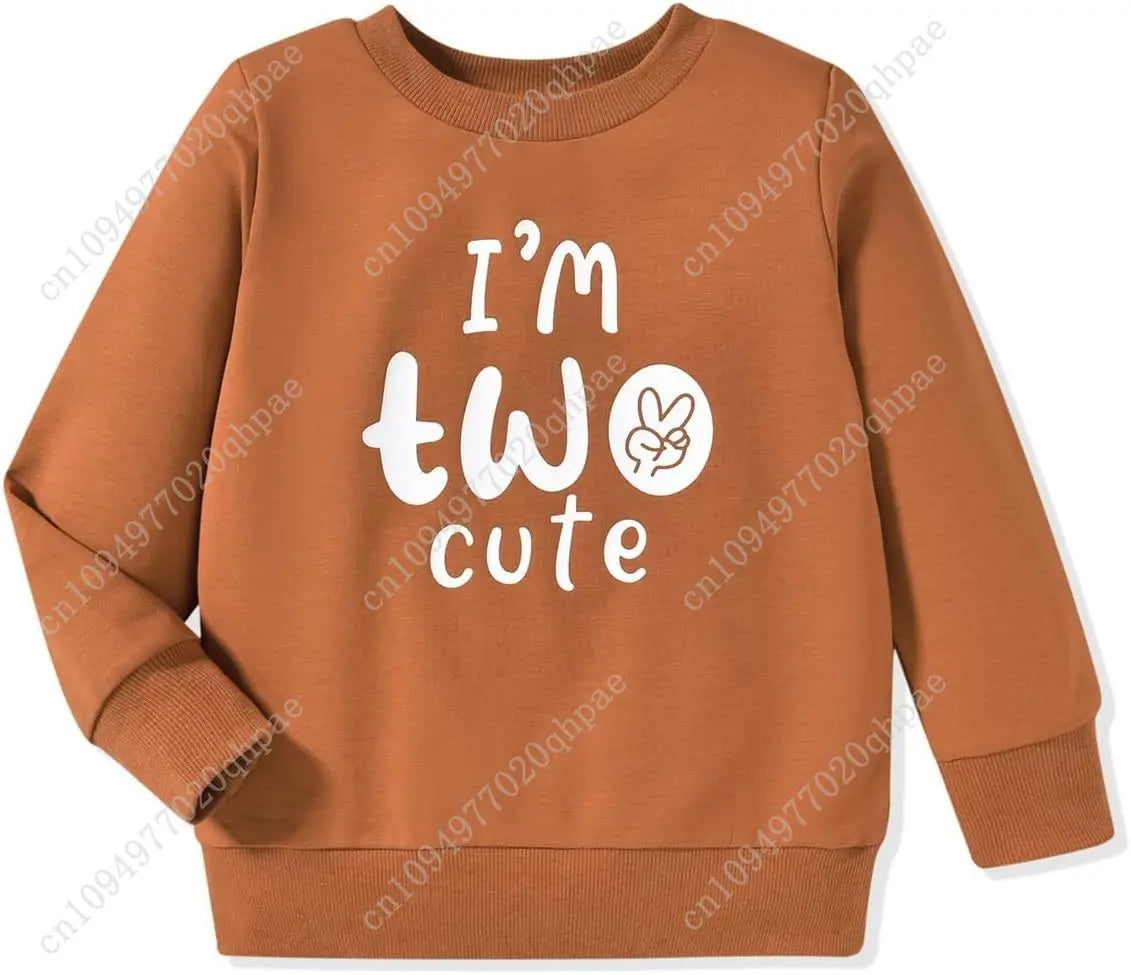 Toddler Boy Birthday Sweatshirt