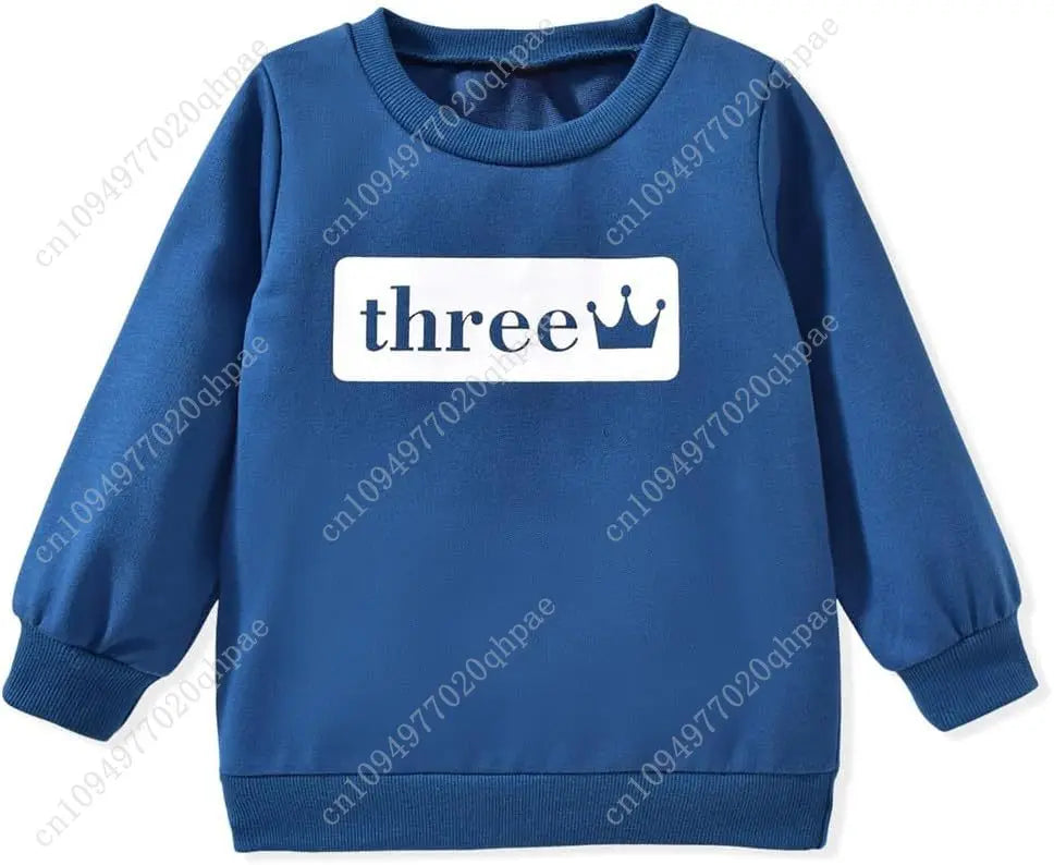 Toddler Boy Birthday Sweatshirt