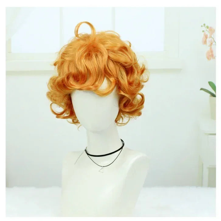 Cosplay Heat Resistant Wig