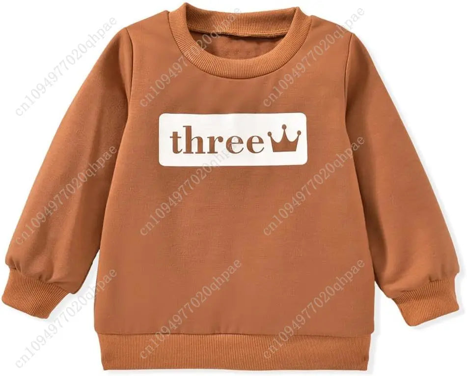Toddler Boy Birthday Sweatshirt