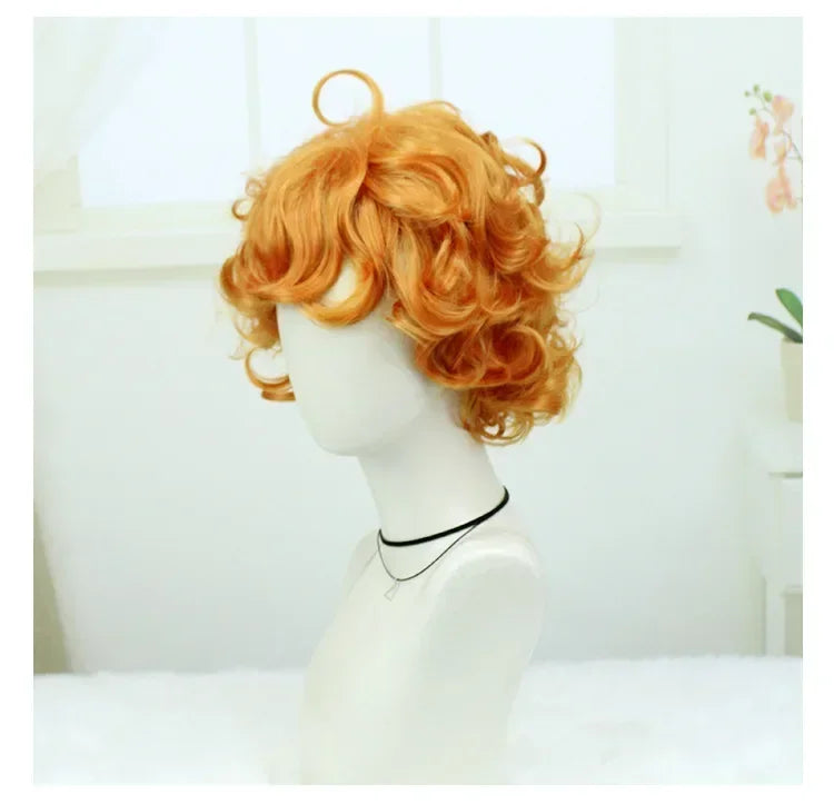 Cosplay Heat Resistant Wig