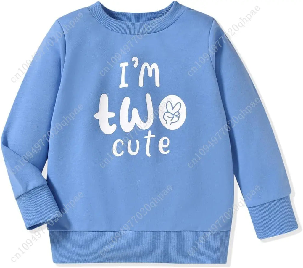Toddler Boy Birthday Sweatshirt