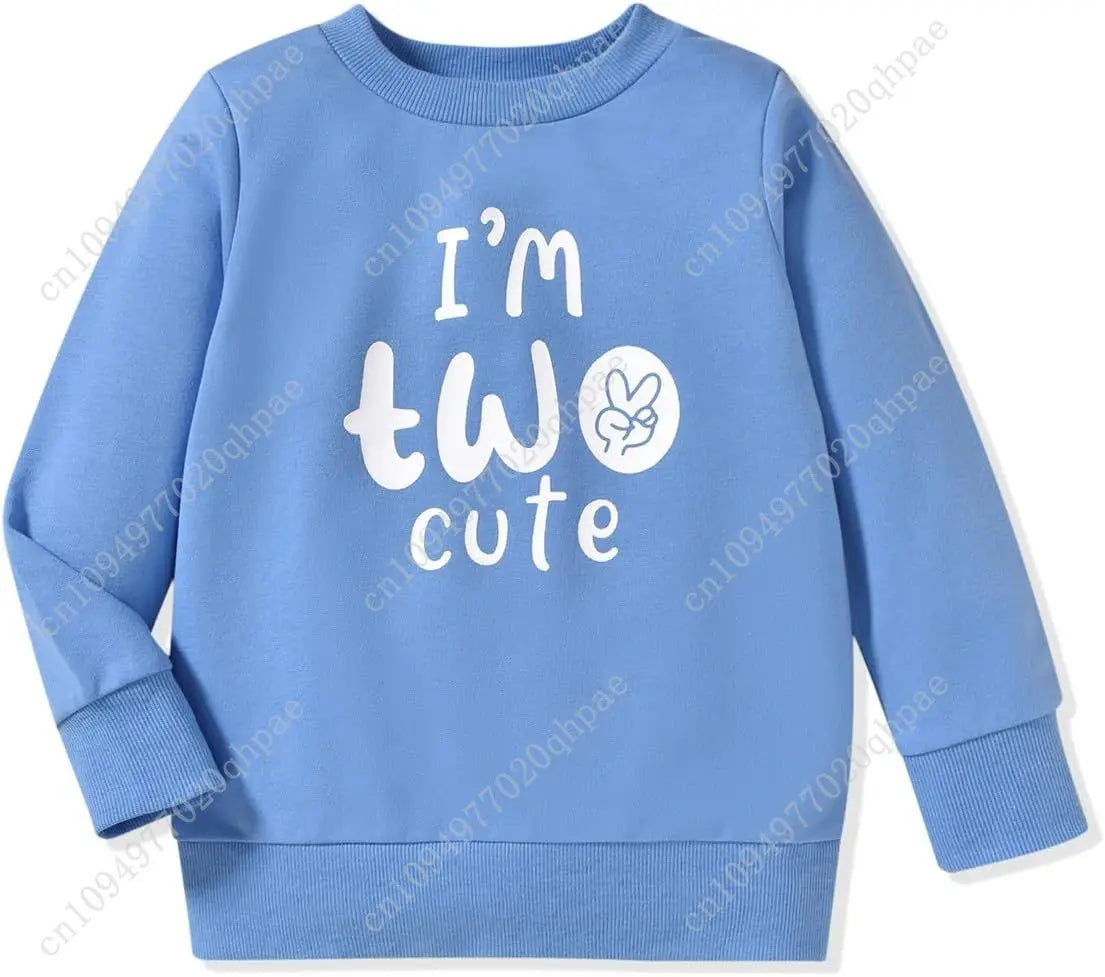 Toddler Boy Birthday Sweatshirt