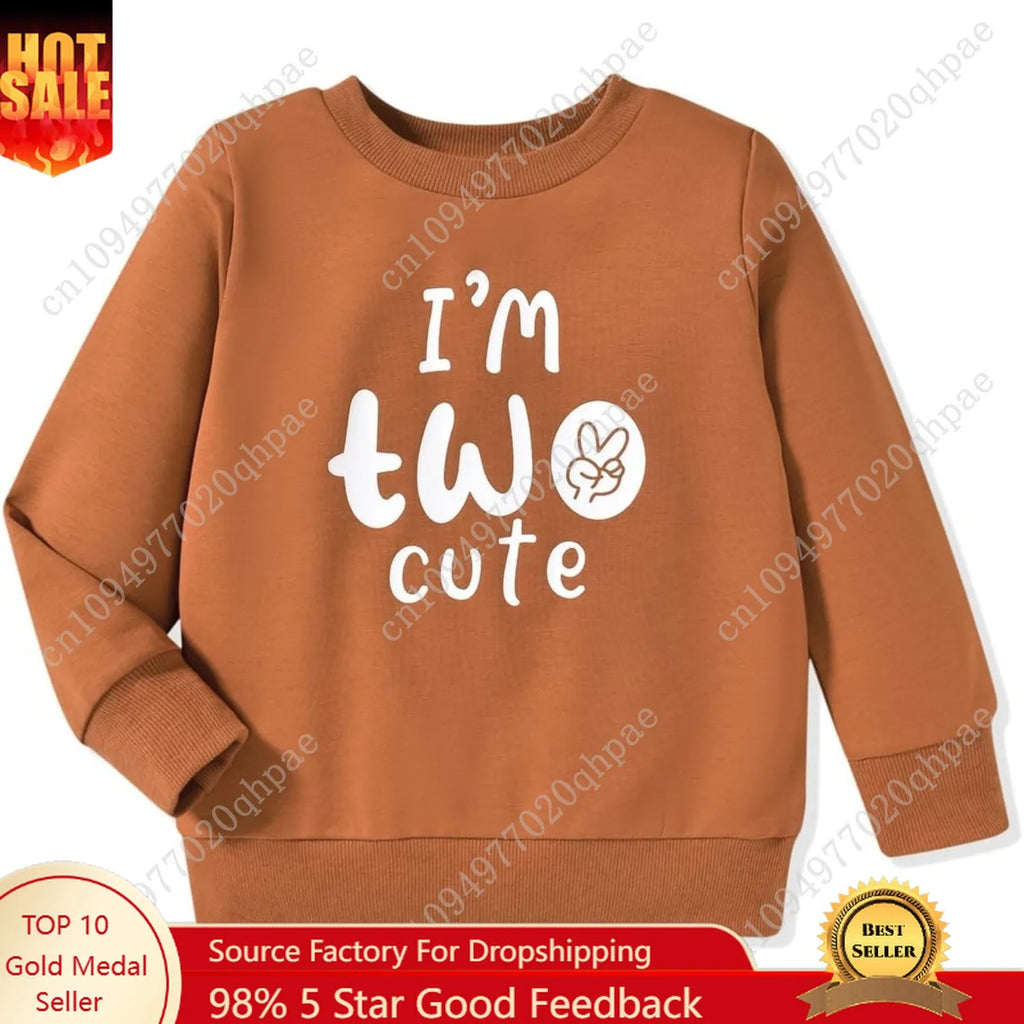 Toddler Boy Birthday Sweatshirt
